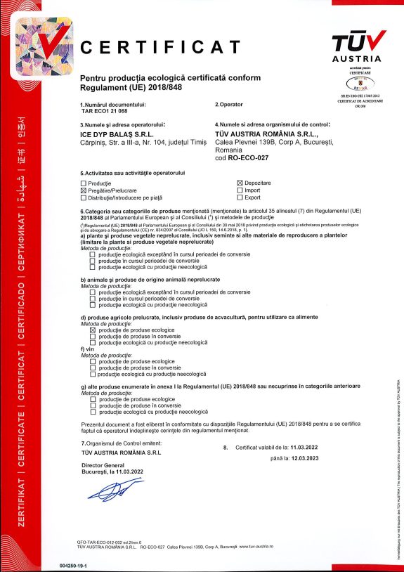 Certificat ICE DYP BALAS SRL 2022 Page 1